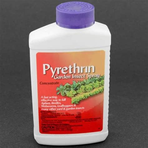 Pyrethrin Pesticide, Packaging Type: Bottle at Rs 300/piece in Chennai ...