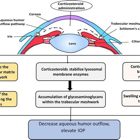 (PDF) Corticosteroids in ophthalmology: drug delivery innovations, pharmacology, clinical ...