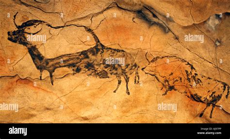 Neanderthal Cave Paintings From Mayriere Superieure Bruniquel France ...