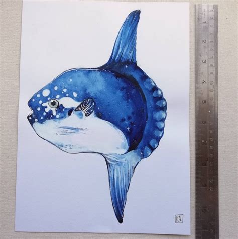 Ocean Sunfish Watercolour Painting Mola Mola Art Nautical | Etsy