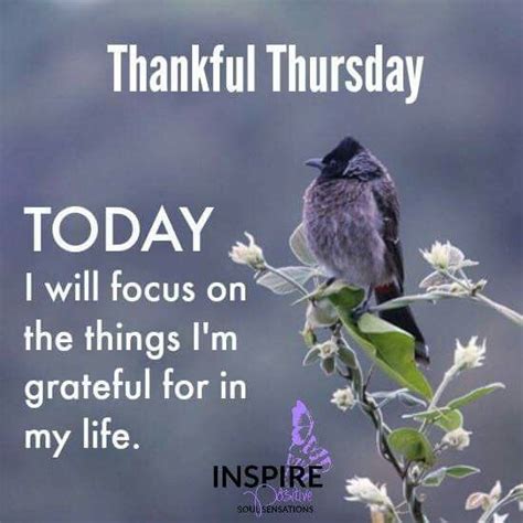 Thankful Thursday Positive Quote Pictures, Photos, and Images for Facebook, Tumblr, Pinterest ...