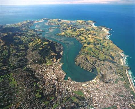 Otago Peninsula and Harbour – Otago region – Te Ara Encyclopedia of New Zealand