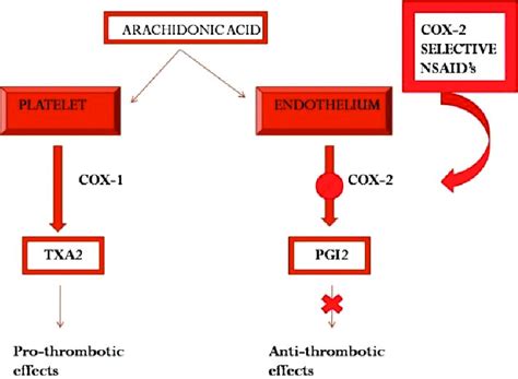 Mechanism of COX‐2 selective NSAIDs‐induced thrombosis. | Download Scientific Diagram