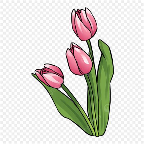 Imagens Flor Planta Tulipa PNG e Vetor, com Fundo Transparente Para ...