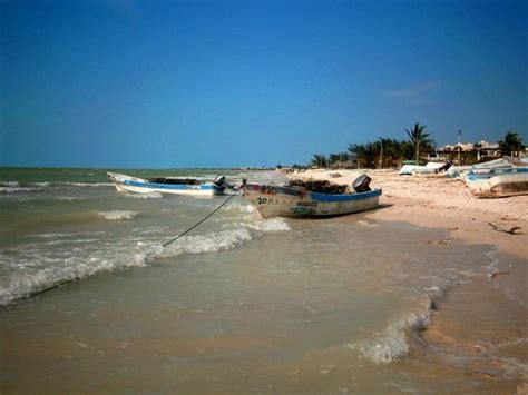 Celestun Wildlife Refuge - Península de Yucatán, México - Opiniones y ...