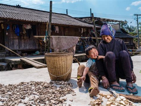 Providing Left-behind Elderlies in Rural China with a Way of Life: Heifer Hong Kong’s Targeted ...