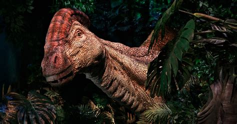 Exclusive: You can meet 'Jurassic World' dinosaurs in real life