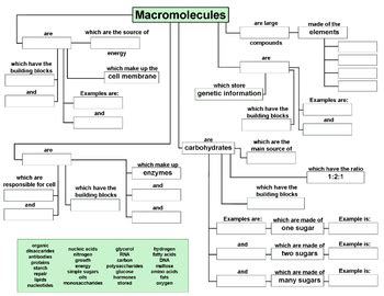 Macromolecules Worksheet 2 Answers - Escolagersonalvesgui