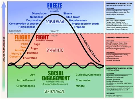 polyvagal-chart | Lissa Rankin