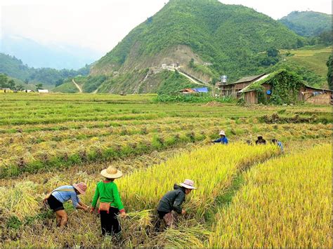 Everything You Need To Know About A Sapa Hike in Vietnam!