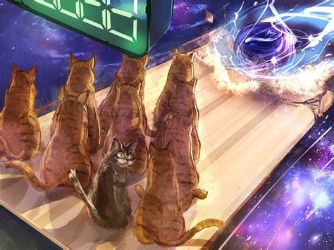 Cat Bowling by SuoniMac on DeviantArt