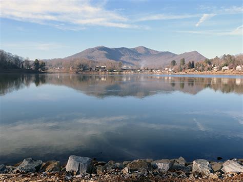 Ventures Bird Watching & Natural History Tours