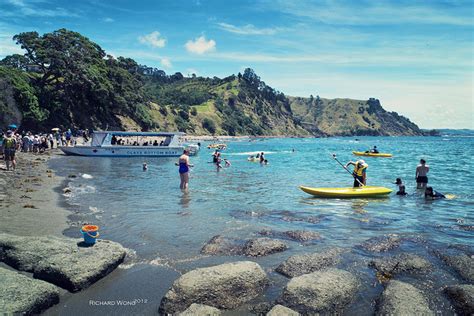 Goat Island Marine Reserve: A Haven for Underwater Life | Uncharted101.com