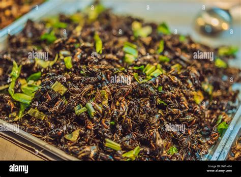 Fried insects, Bugs fried on Street food in thailand Stock Photo - Alamy