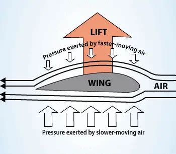 What is Bernoulli’s Principle - Examples - Definition