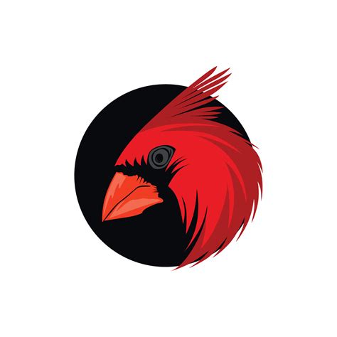 vector illustration cardinal bird 25428536 Vector Art at Vecteezy