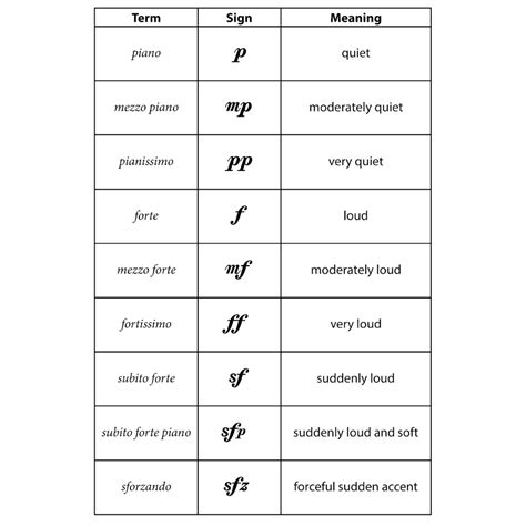 What is Music Theory? The Basics Every Beginner Should Learn