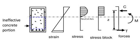 Strain, stress and force diagrams of a reinforced concrete section. | Download Scientific Diagram