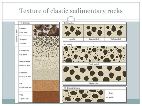 PPT - Detrital Sedimentary Rocks PowerPoint Presentation, free download - ID:5305316