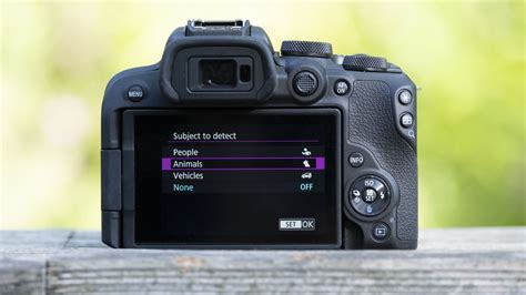 Canon EOS R10 review: the best camera for beginners | TechRadar