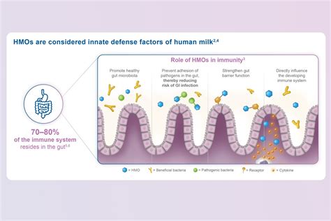 Role of HMOs on Infant Immune Health and Association with Cognition ...