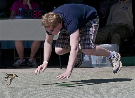 The Frog is Clearly Outdone - Calaveras County Frog Jumping Jubilee 2012 | Smithsonian Photo ...