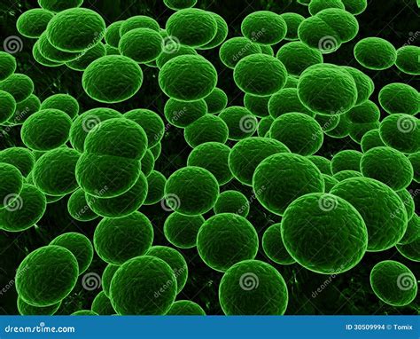 Green Cells Stock Images - Image: 30509994