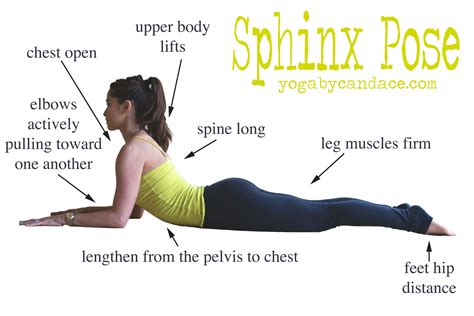 How to do Sphinx Pose — YOGABYCANDACE