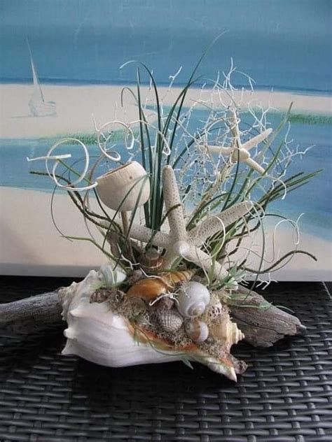 Pin by debbie miller on bottles and shells | Sea shell decor, Sea ...