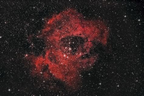 Rosette Nebula, NGC 2244 - Astrophotography by galacticsights