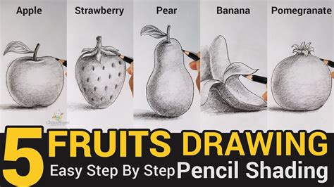 Fruits Drawing Pencil