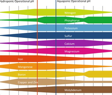 Nutrient Availability Chart