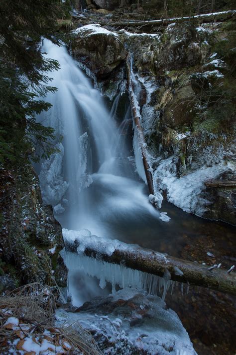 Bavarian Forest Winter