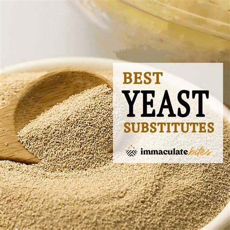 Substitute for Yeast - Immaculate Bites