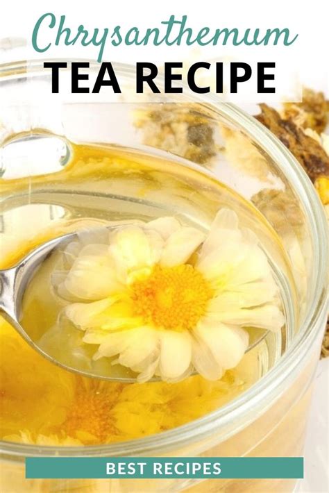 Chrysanthemum Tea Recipe (Updated 2024)