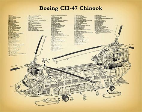 Boeing Ch-47 Chinook Helicopter Print - Chinook Helicopter Blueprint - Helicopter Poster ...