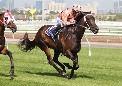 Black Caviar inducted into Australian Racing Hall of Fame | Australian Times