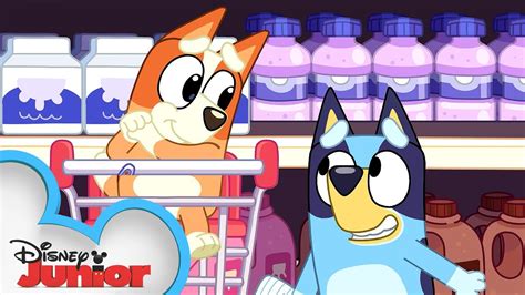 11/2023 MỚI Phim Secret Crush On You The Series Tập 1 - Bluey And Bingo Go Grocery Shopping 🛒 ...