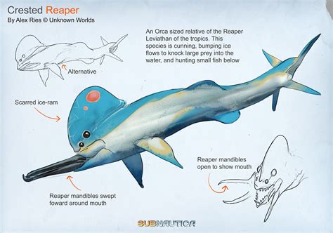 Subnautica creatures concept art - sergtest