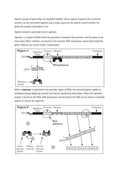 Control of gene expression in prokaryotes