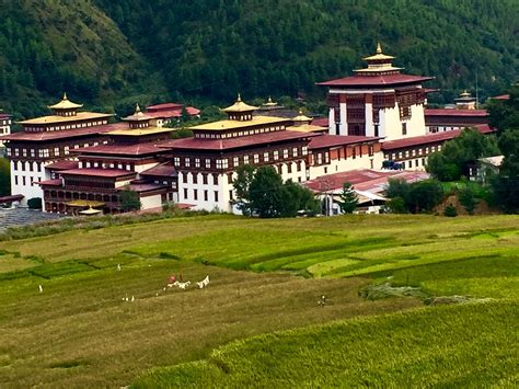 Visita Thimbu: El mejor viaje a Thimbu, Thimphu, del 2021| Turismo con Expedia