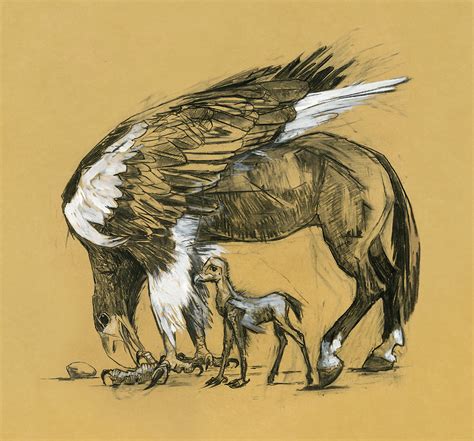 Hippogriff Drawing / Read hippogriff from the story my drawings #2 (discontinued) by ...