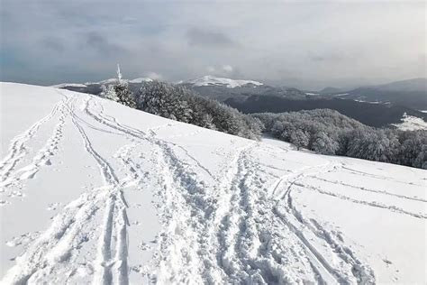 Discover wonderful Poland in winter: Where to go and what to do ...