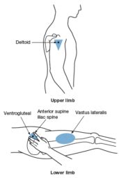 Administer Injections • LITFL • CCC Procedure