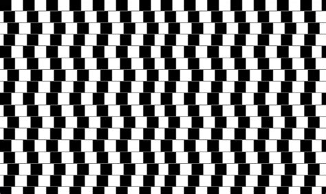 they are all horizontal... no really they are | Optical illusion photos ...