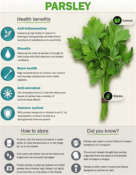 Parsley Nutrition And Why It's Far More Than Just A Garnish