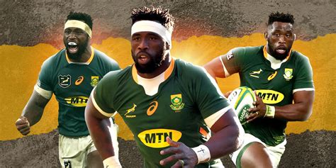 Springboks confirm: Kolisi's World Cup dream is alive and WELL