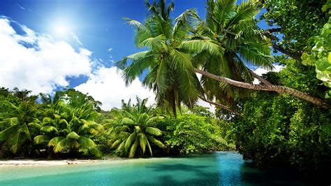 HD wallpaper: tropical landscape, exotic, vegetation, summer, tropics ...