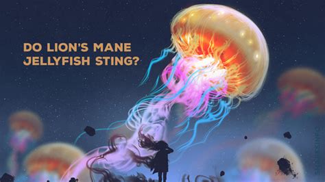 Do Lion’s Mane Jellyfish Sting? – sharksinfo.com