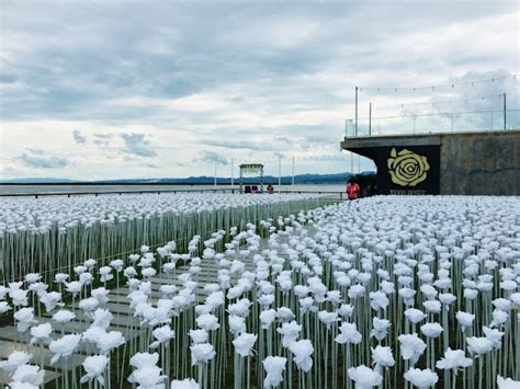 10,000 Roses Cebu - Cordova, Cebu, Philippines